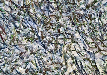 N 012C